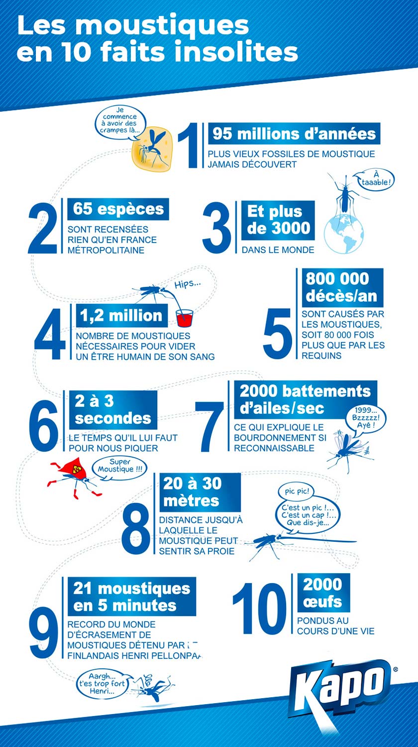 infographie-10-faits-insolites-moustiques.jpg