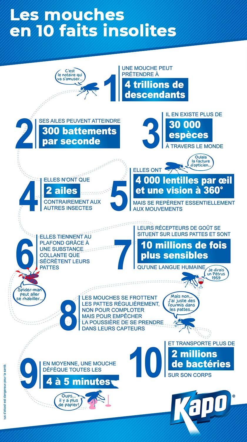 infographie-10-faits-insolites-mouches.jpg