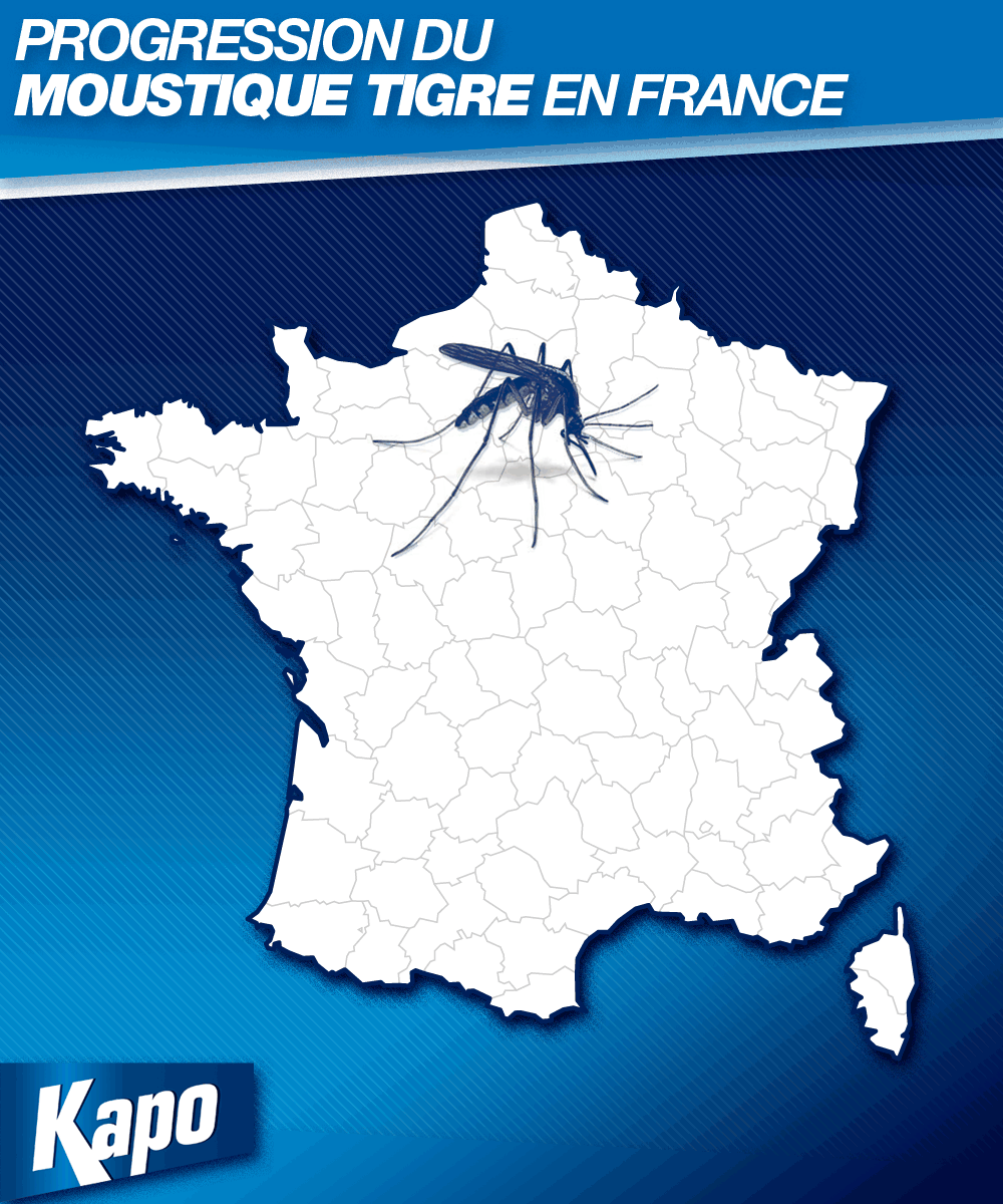 progression-moustique-tigre-france.gif